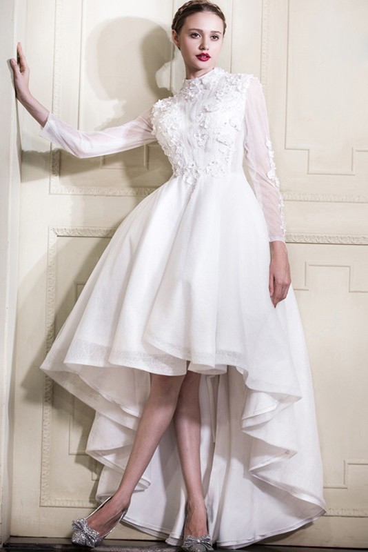 Informal High Neck Collar Long Sleeve High Low Lace Tulle Garden