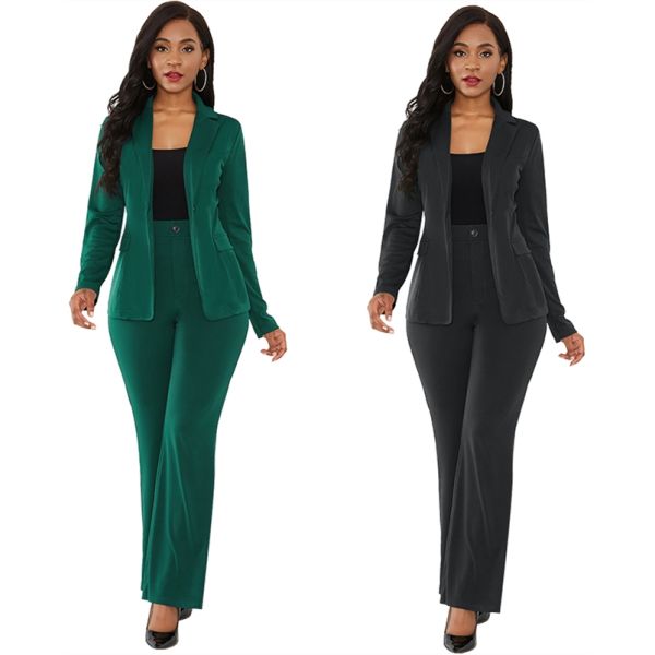 Work Pant Suits OL 2 Piece Set for Women Business interview uniform ...