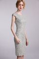 Elegant Sheath Scoop Cap Sleeve Grey Lace Prom Evening Dress 