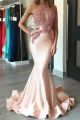 Sexy Pink Mermaid Prom Evening Dress See Through Neckline Sleeveless With Appliques