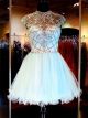 Ball Gown High Neck Open Back Cap Sleeve Short White Tulle Beaded Prom Dress