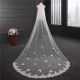 Beautiful Lace Tulle Wedding Bridal Cathedral Veil