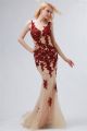 Charming Illusion Neckline See Through Champagne Tulle Burgundy Lace Prom Dress