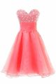 Classic A Line Strapless Short Watermelon Organza Beaded Prom Dress