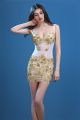 Sexy V Neck Sheer See Through Tulle Gold Lace Beaded Night Out Club Mini Party Dress