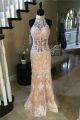 Slim Mermaid Halter Cut Out Back Champagne Lace Ivory Applique Prom Dress