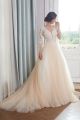 Princess V Neck Champagne Colored Tulle Embroidery Wedding Dress Long Sleeves