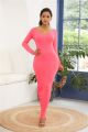 Sexy Long Sleeve Pink Jersey Maxi Woman Clothing Spring Fall Casual Dress